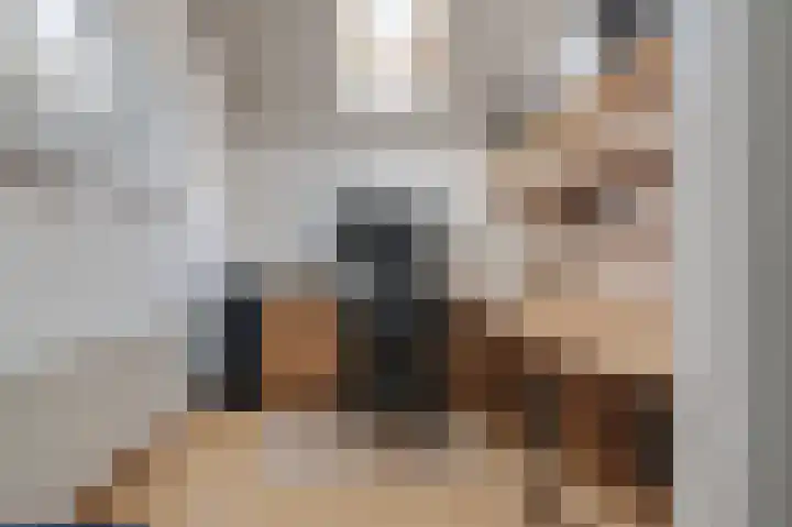 De Finne 4 Langezwaag thumbnail 33