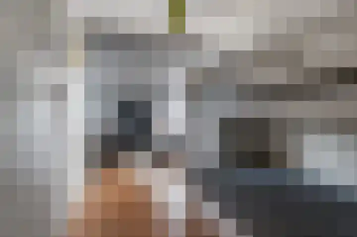 De Finne 4 Langezwaag thumbnail 44