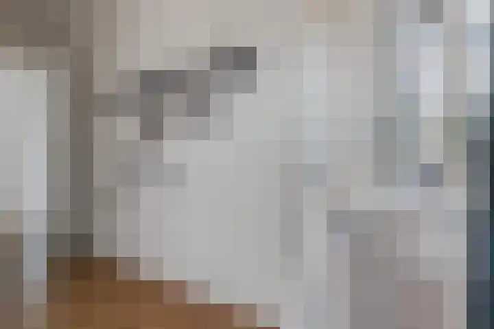 De Finne 4 Langezwaag thumbnail 45