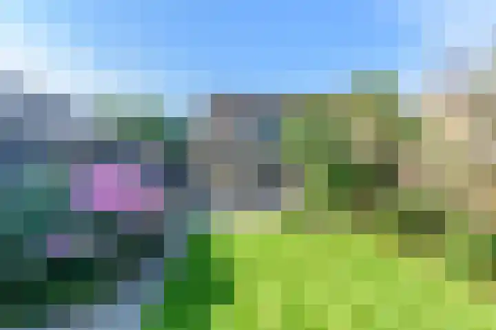 De Finne 4 Langezwaag thumbnail 9