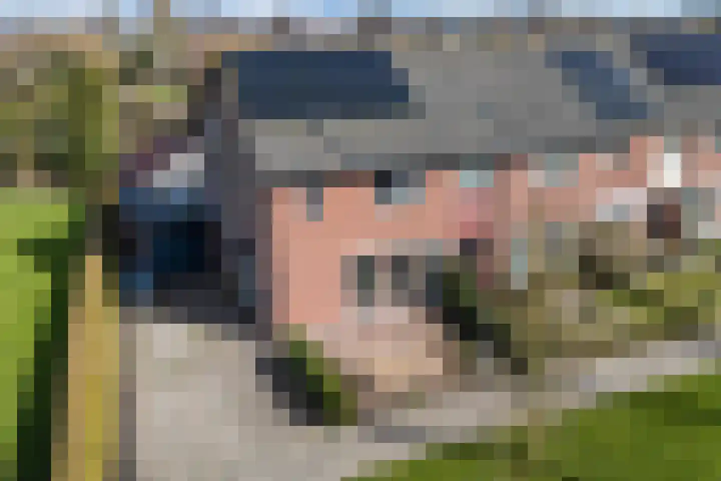 de Finne 46 dans Minnertsga