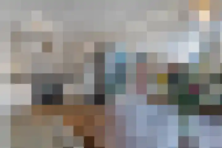 de Finne 46 Minnertsga thumbnail 10