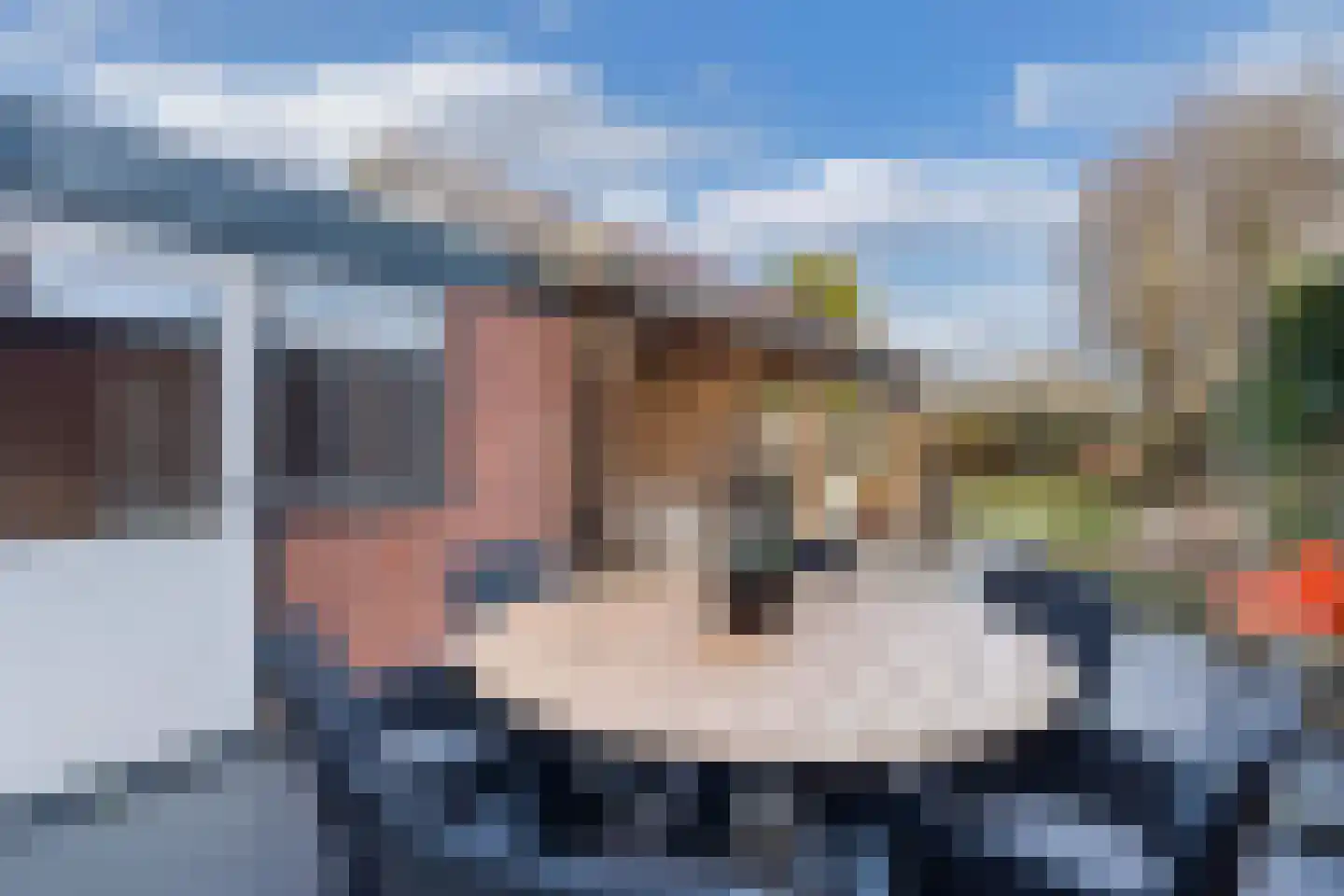 de Finne 46 Minnertsga thumbnail 14
