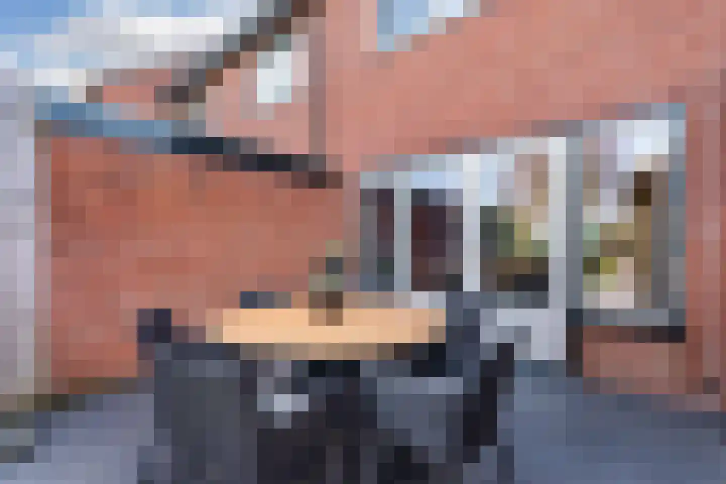 de Finne 46 Minnertsga thumbnail 15