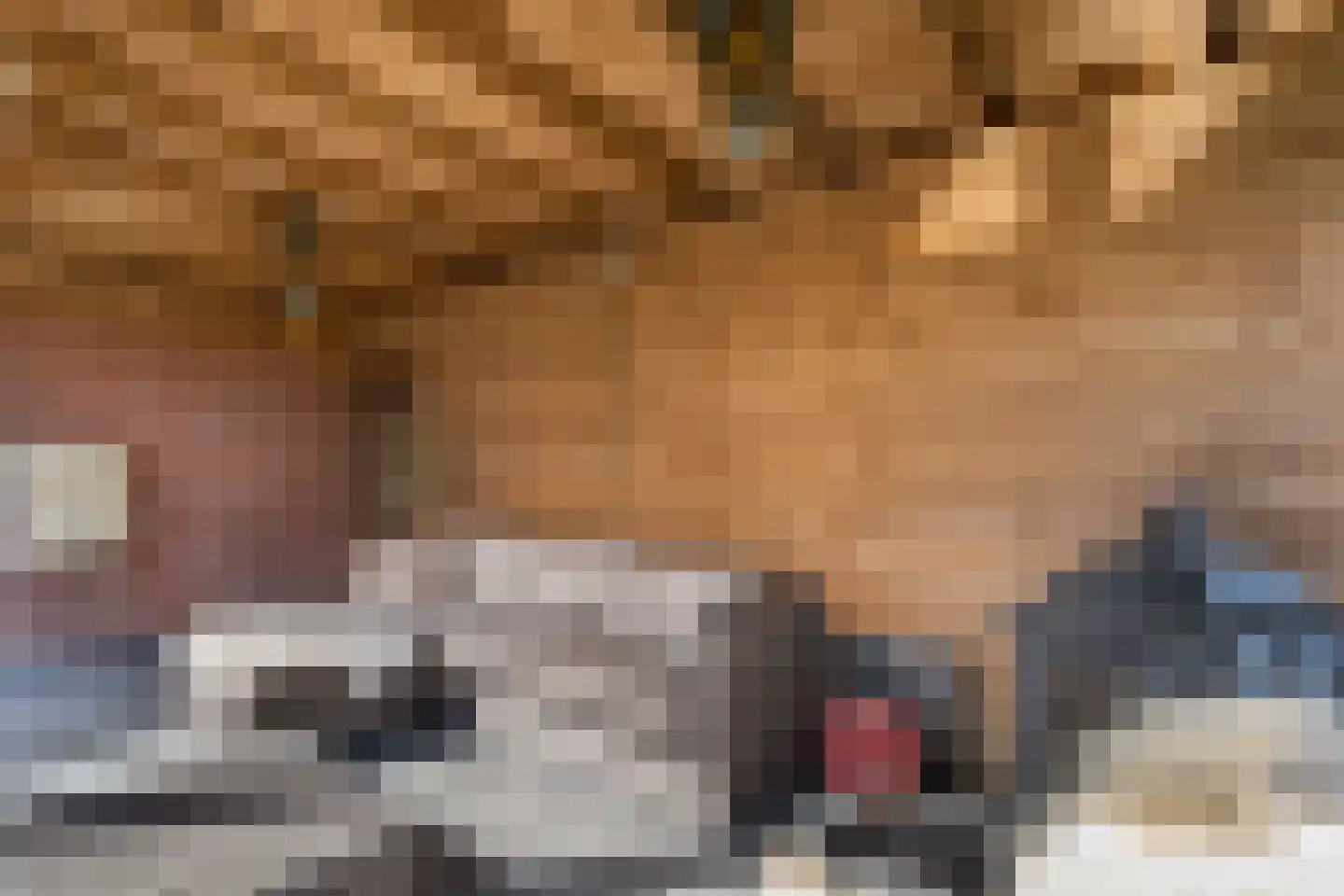 de Finne 46 Minnertsga thumbnail 17