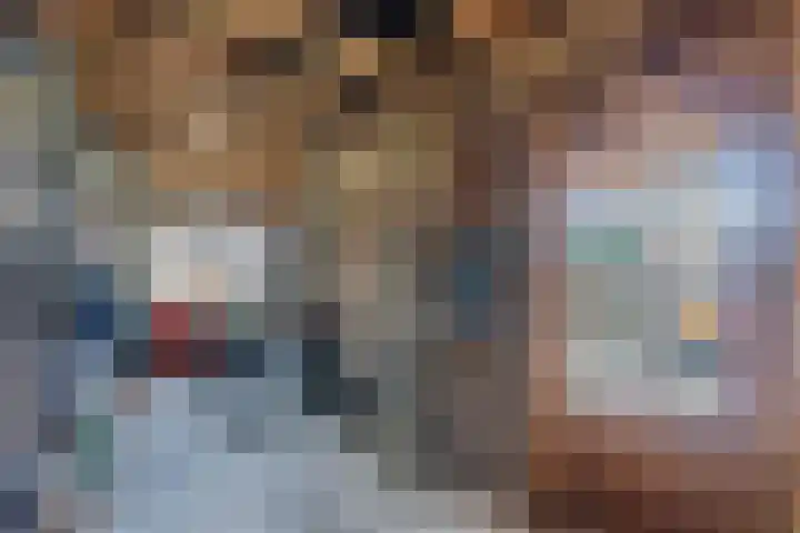 de Finne 46 Minnertsga thumbnail 19