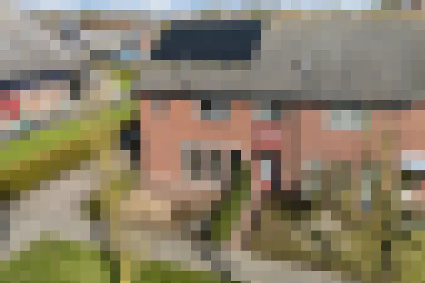 de Finne 46 Minnertsga foto 2