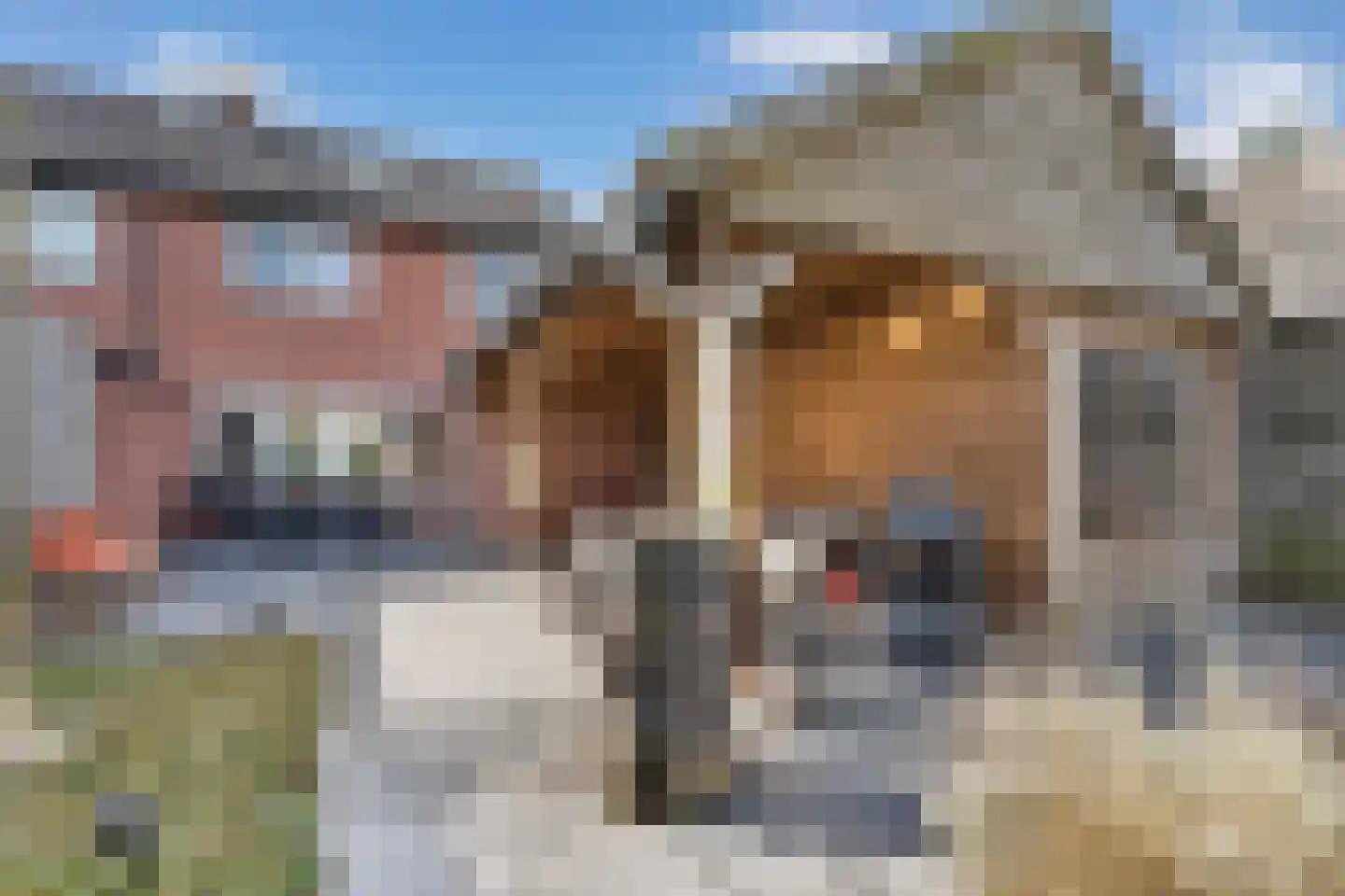 de Finne 46 Minnertsga thumbnail 21