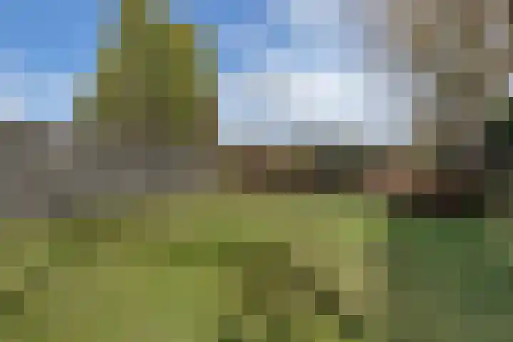 de Finne 46 Minnertsga thumbnail 22