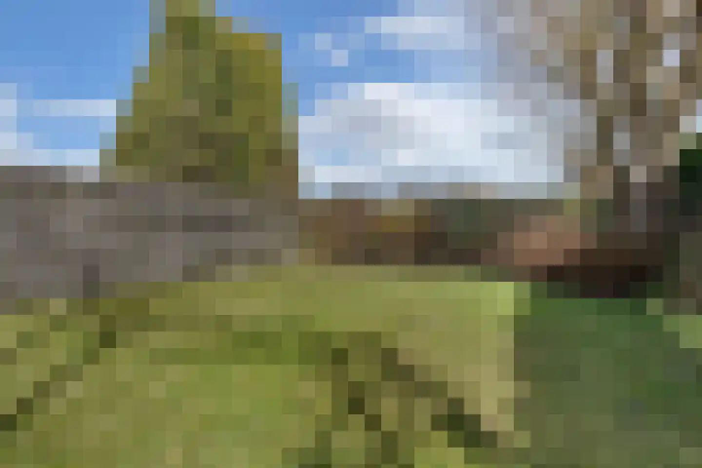 de Finne 46 Minnertsga thumbnail 22
