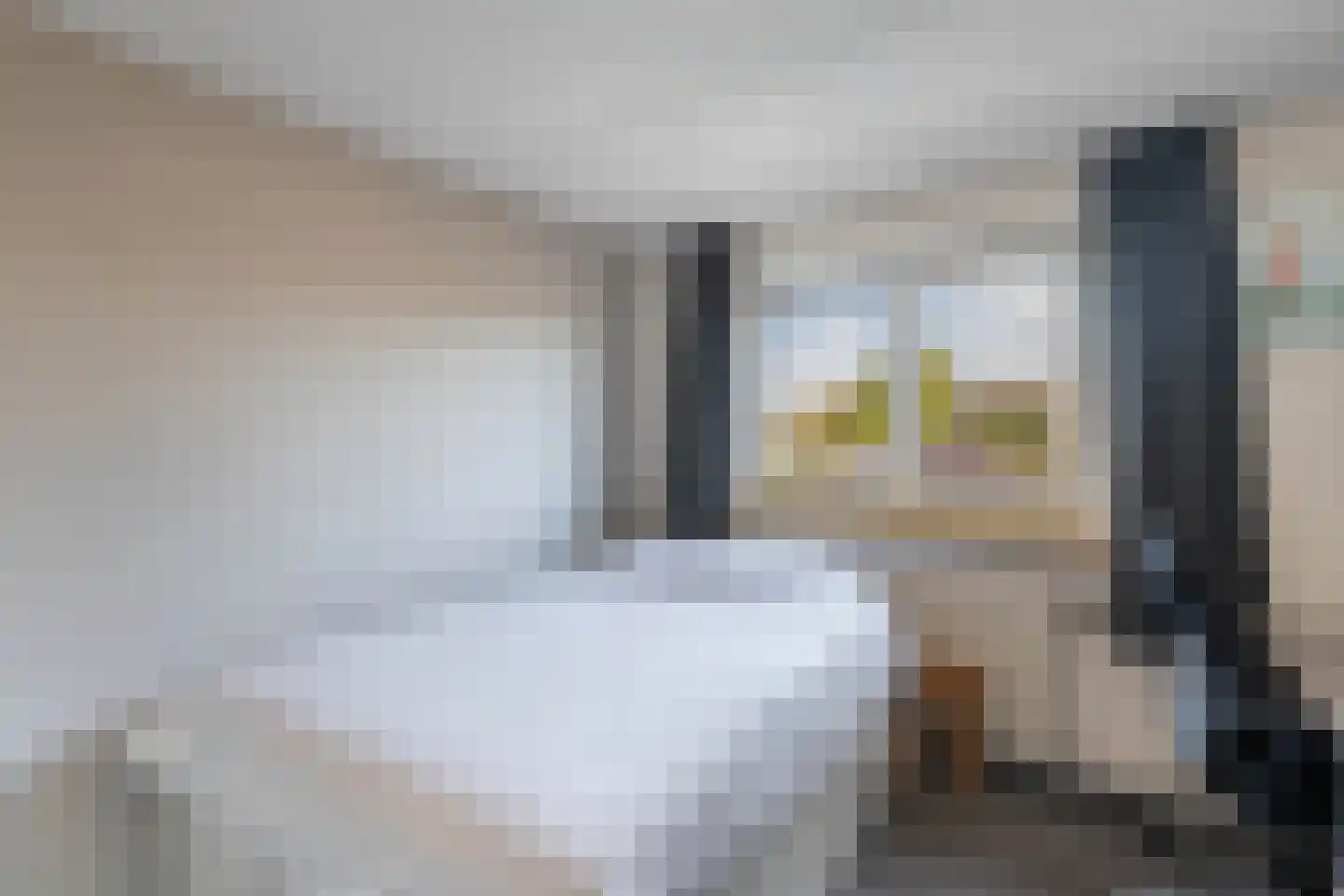 de Finne 46 Minnertsga thumbnail 29