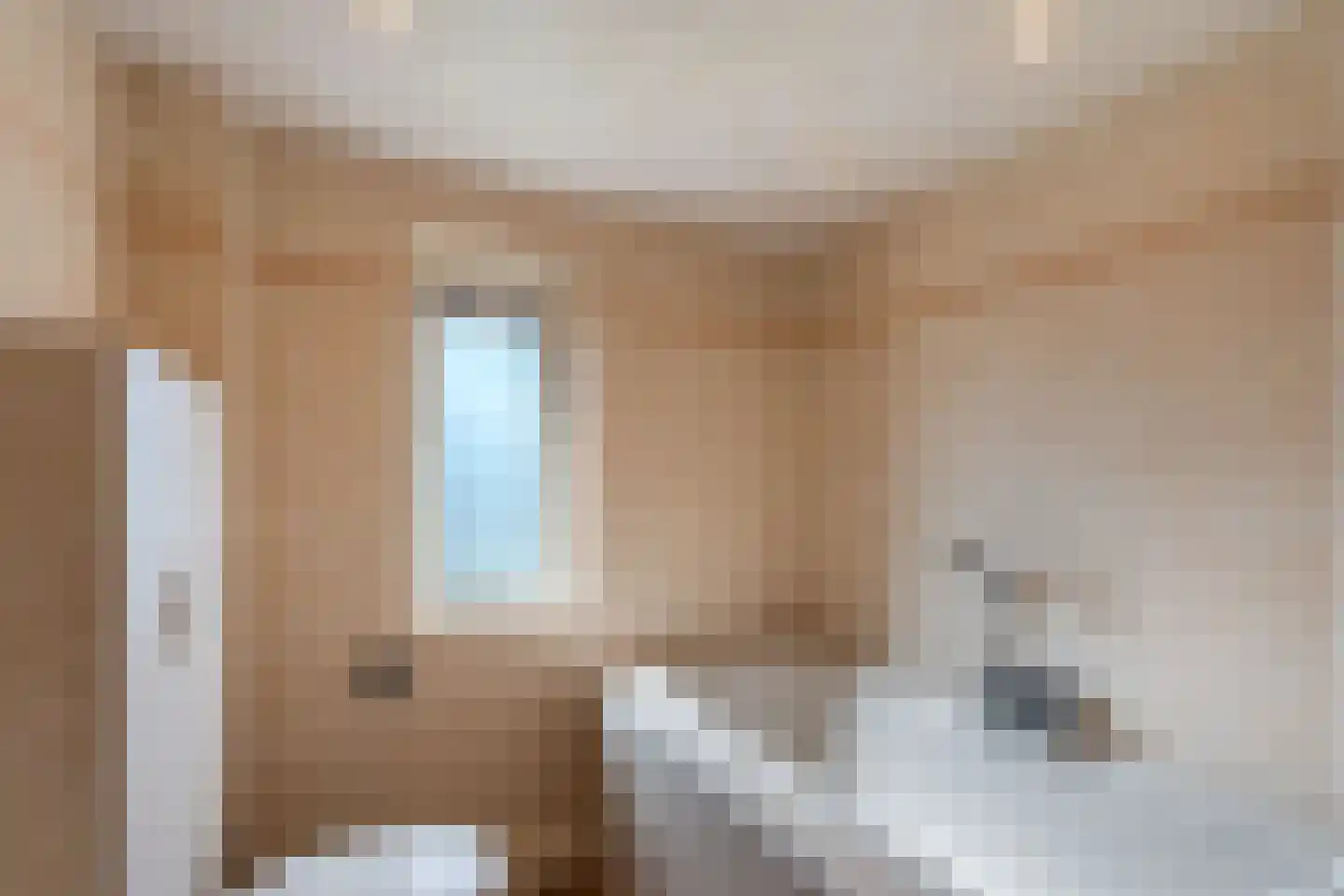 de Finne 46 Minnertsga thumbnail 30