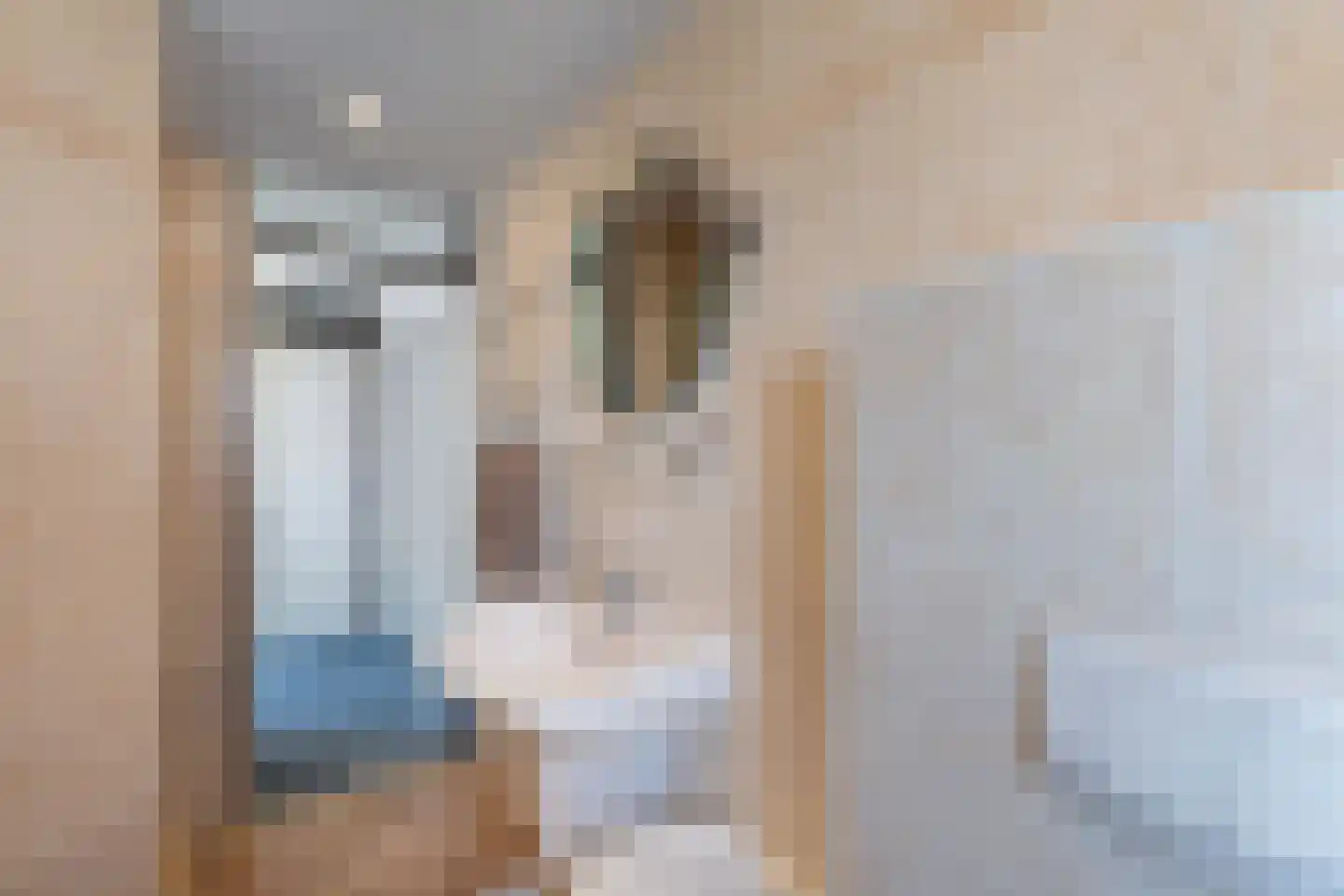de Finne 46 Minnertsga thumbnail 31