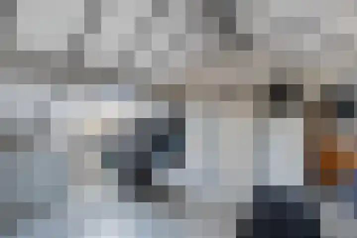 de Finne 46 Minnertsga thumbnail 33