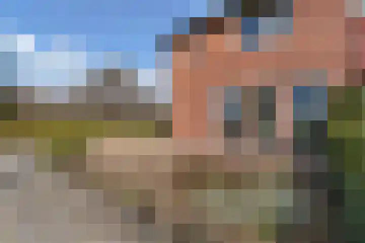de Finne 46 Minnertsga thumbnail 34