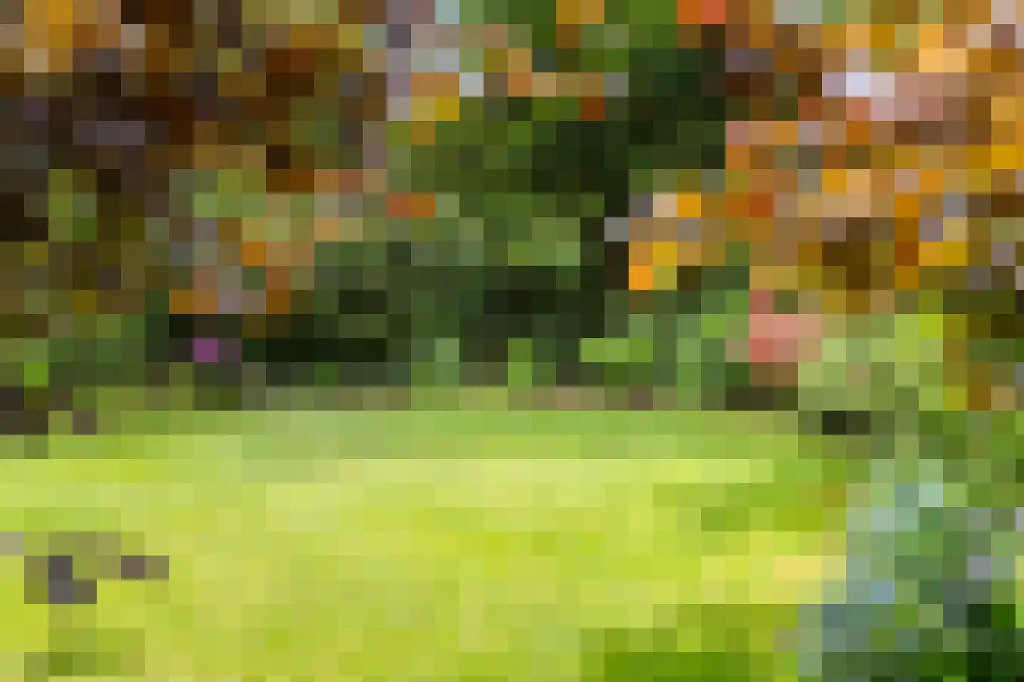 de Finne 46 Minnertsga thumbnail 35