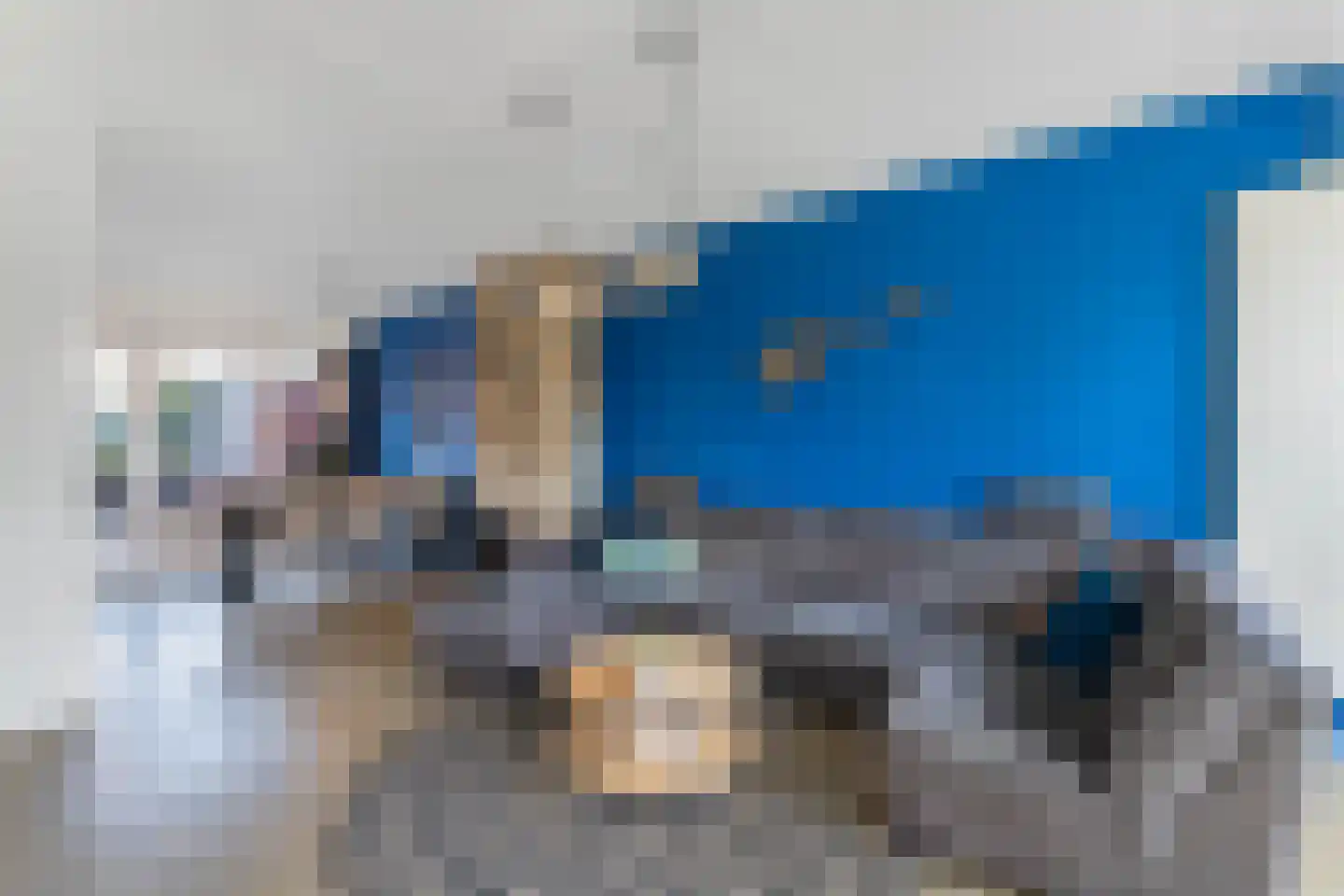 de Finne 46 Minnertsga thumbnail 5