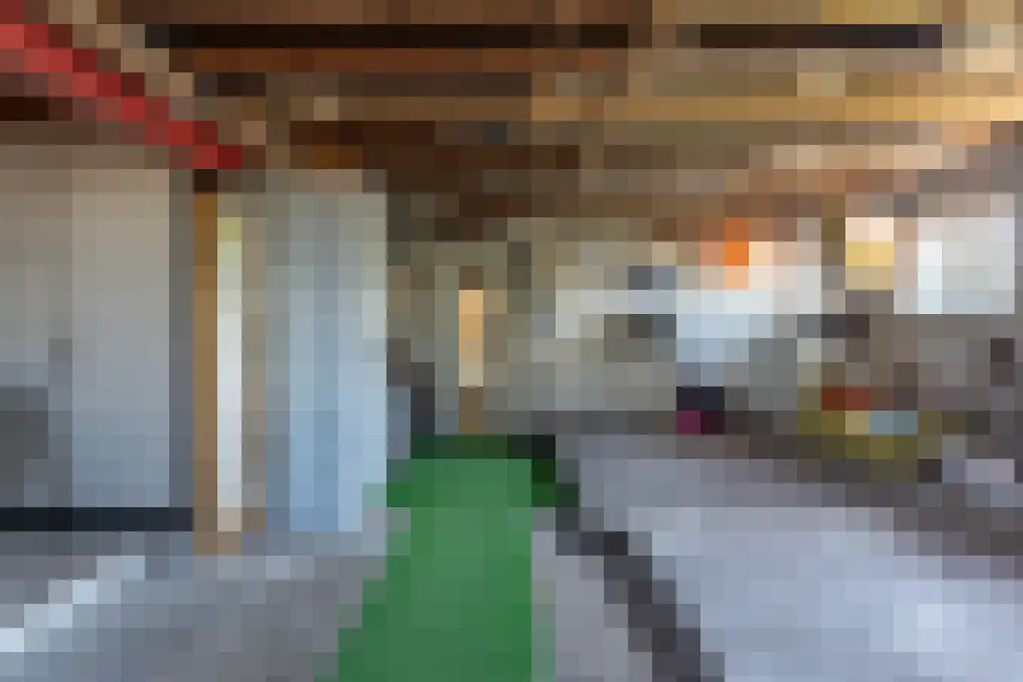 de Finne 46 Minnertsga thumbnail 5