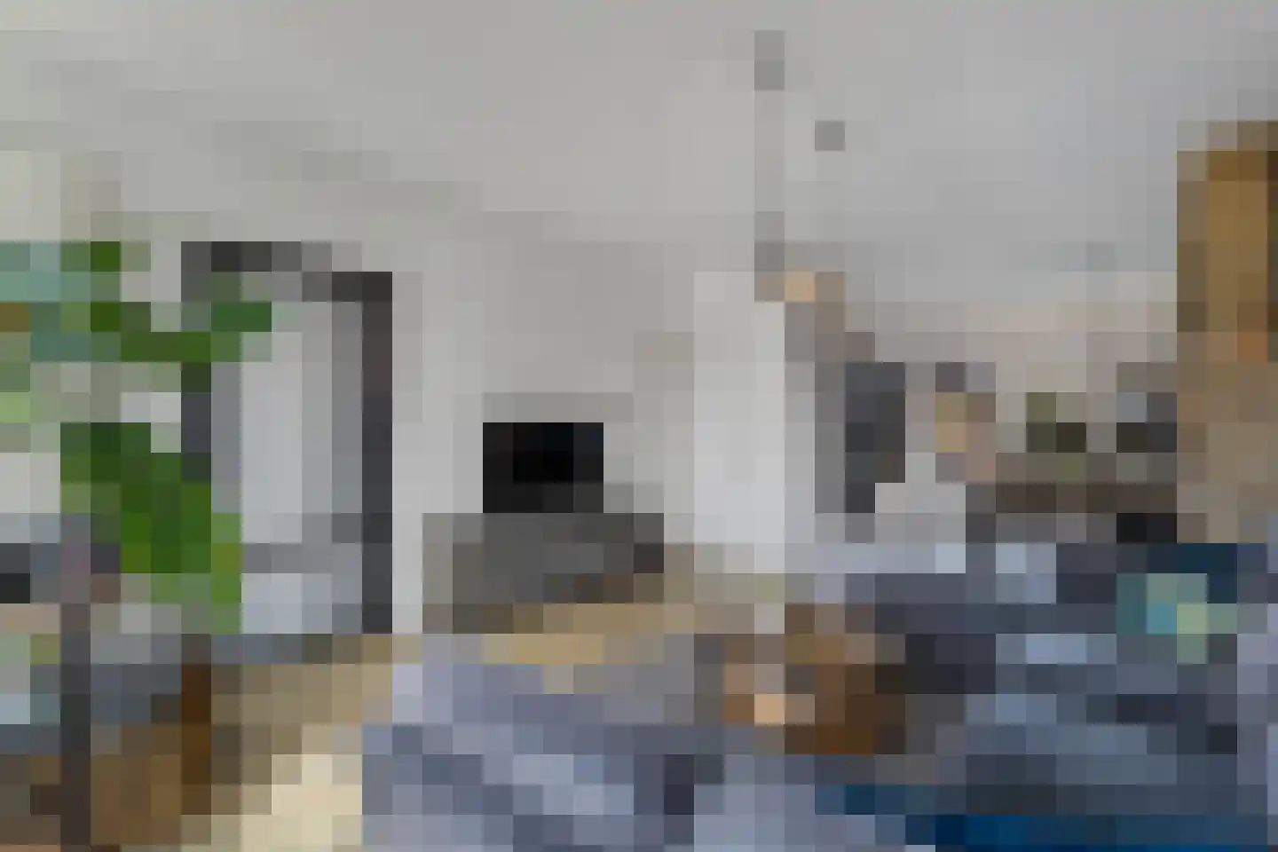 de Finne 46 Minnertsga thumbnail 6