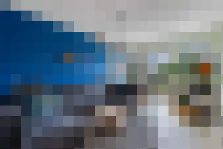 de Finne 46 Minnertsga thumbnail 7