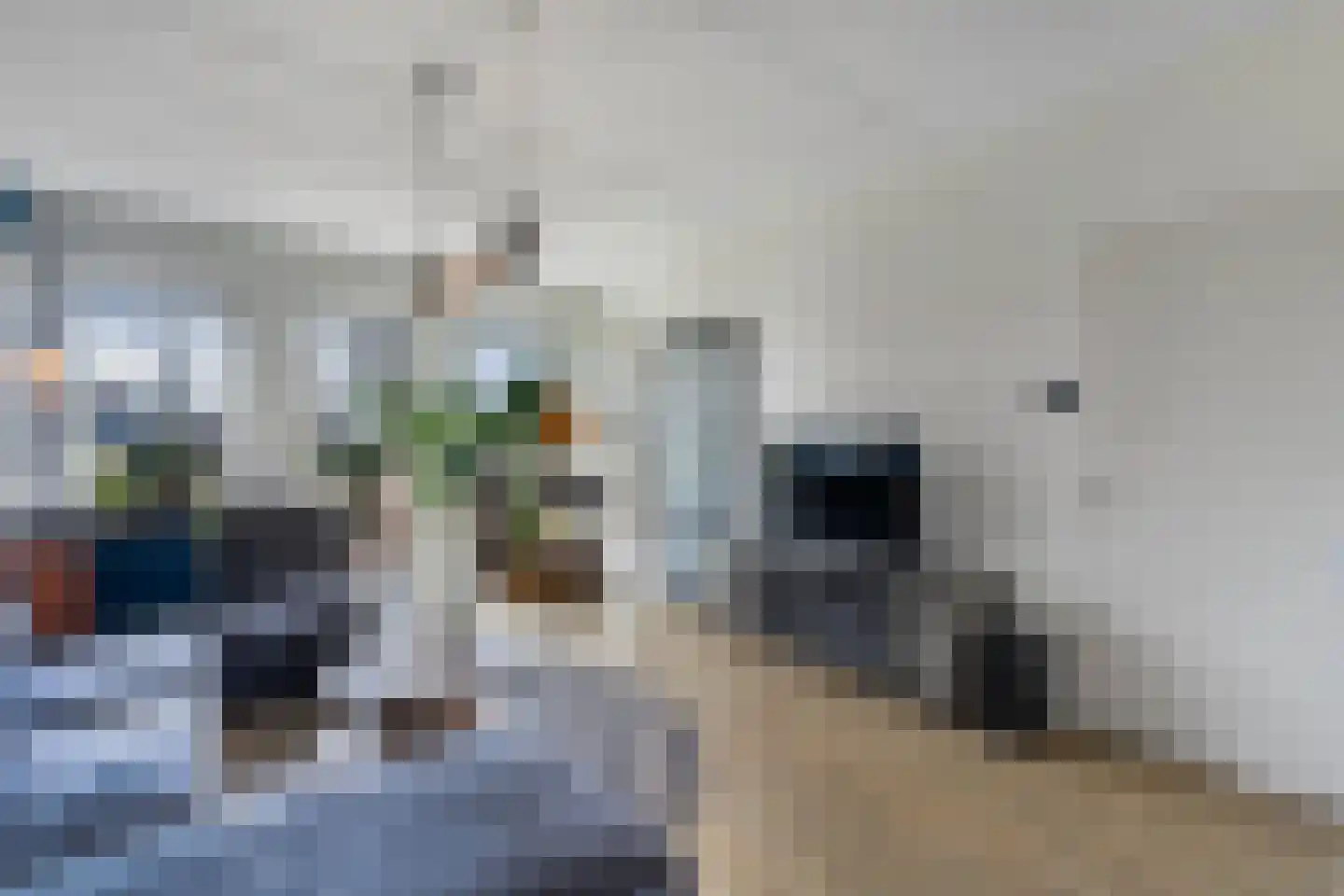 de Finne 46 Minnertsga thumbnail 8