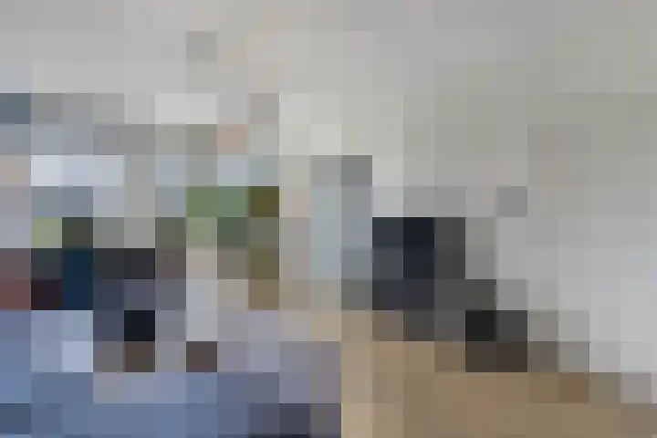 de Finne 46 Minnertsga thumbnail 8