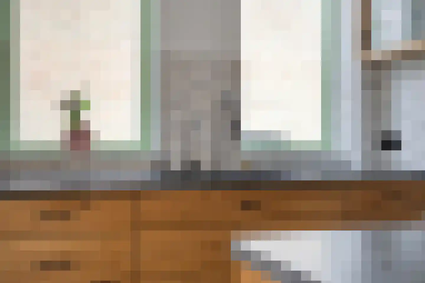 De Finne 5 Langezwaag thumbnail 13