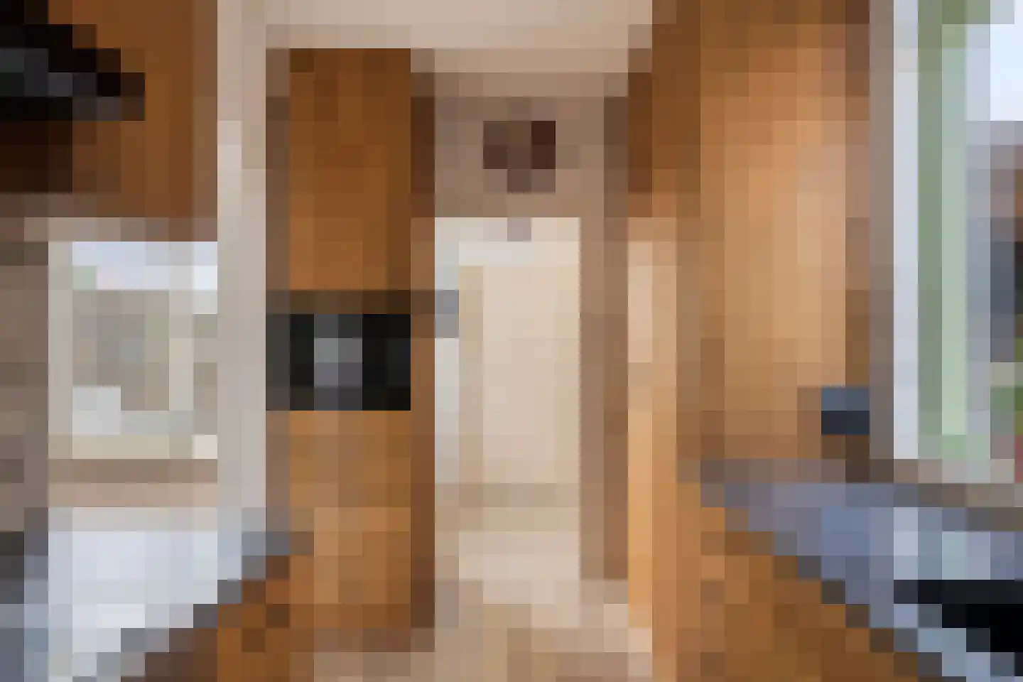 De Finne 5 Langezwaag thumbnail 14