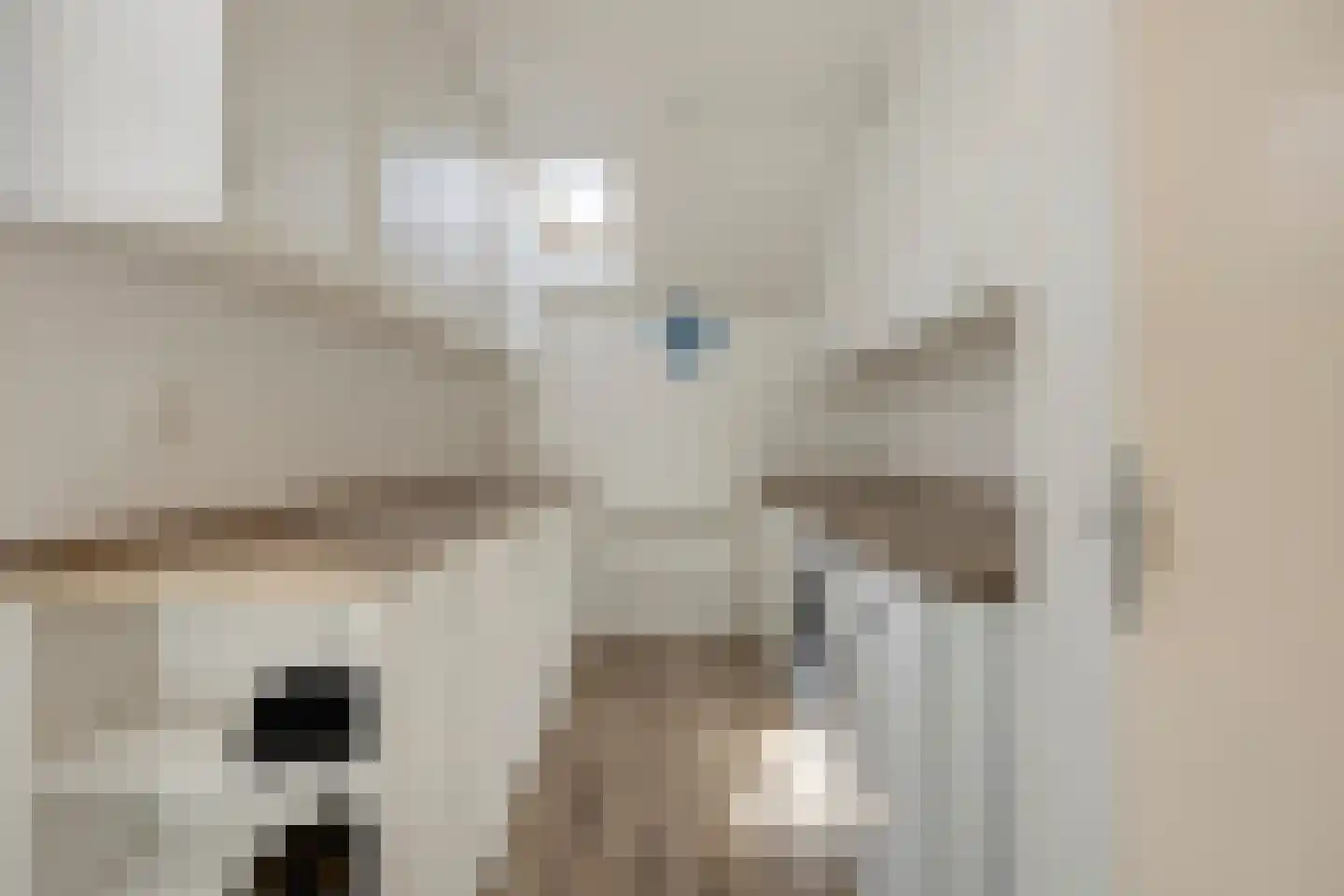 De Finne 5 Langezwaag thumbnail 15