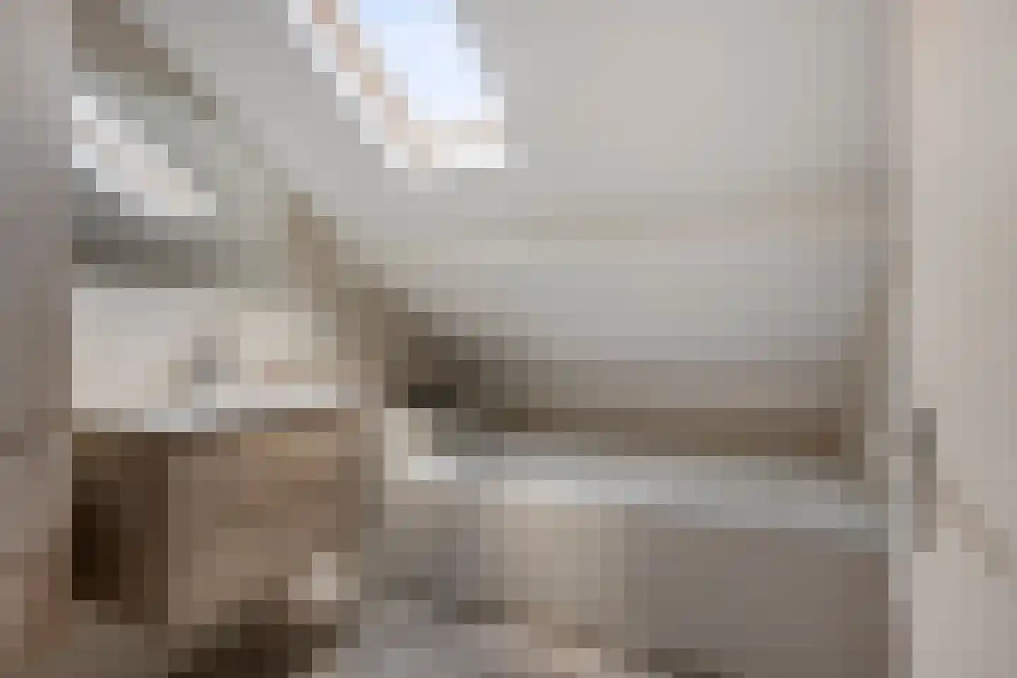 De Finne 5 Langezwaag thumbnail 20