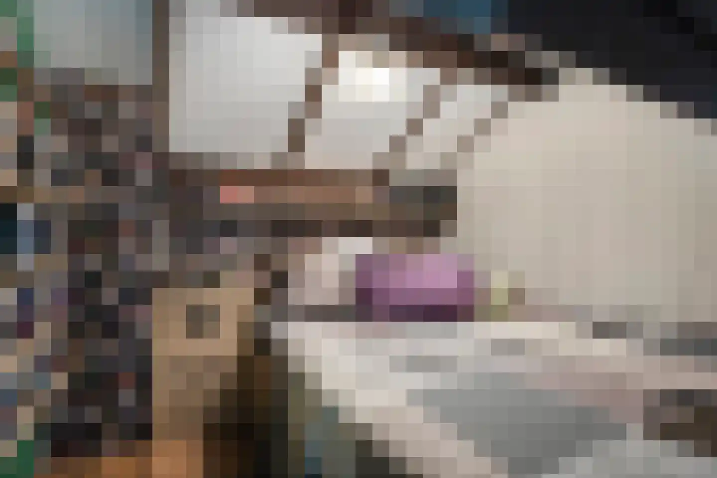 De Finne 5 Langezwaag thumbnail 25