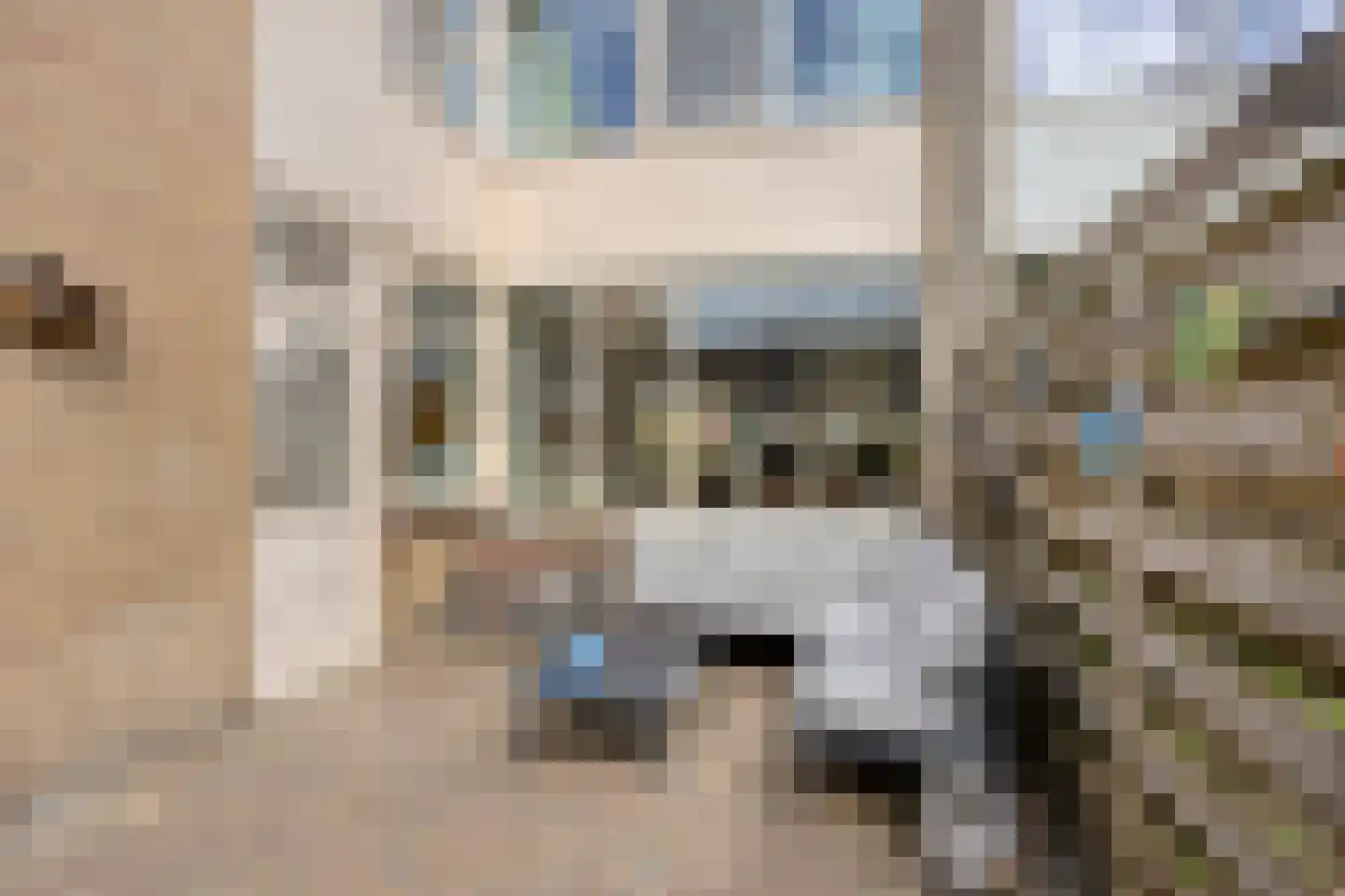 De Finne 5 Langezwaag thumbnail 26