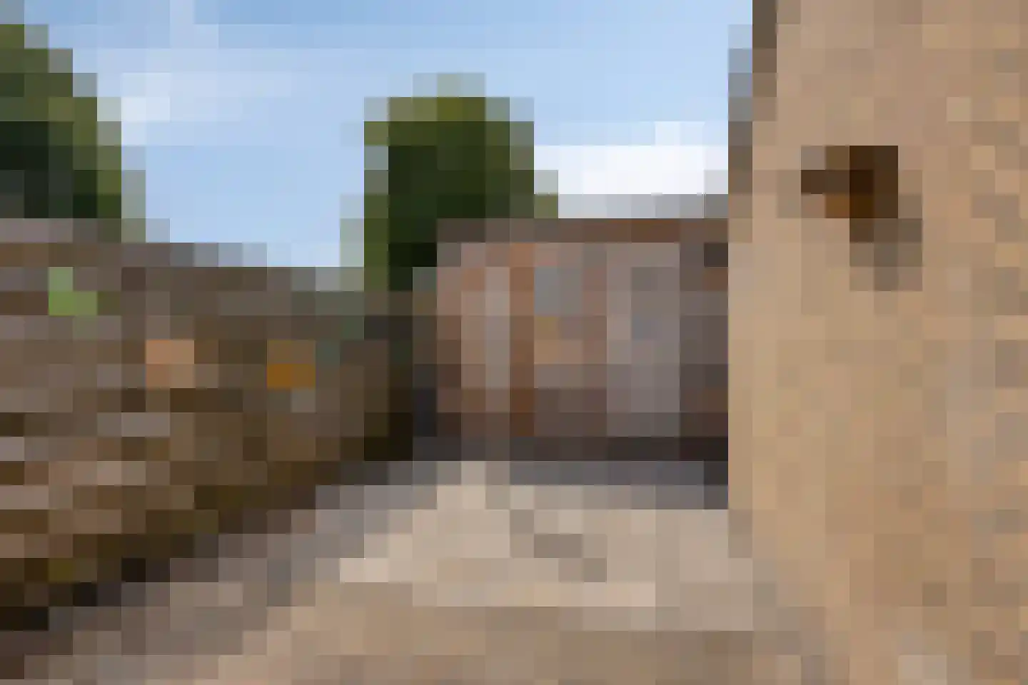 De Finne 5 Langezwaag thumbnail 27