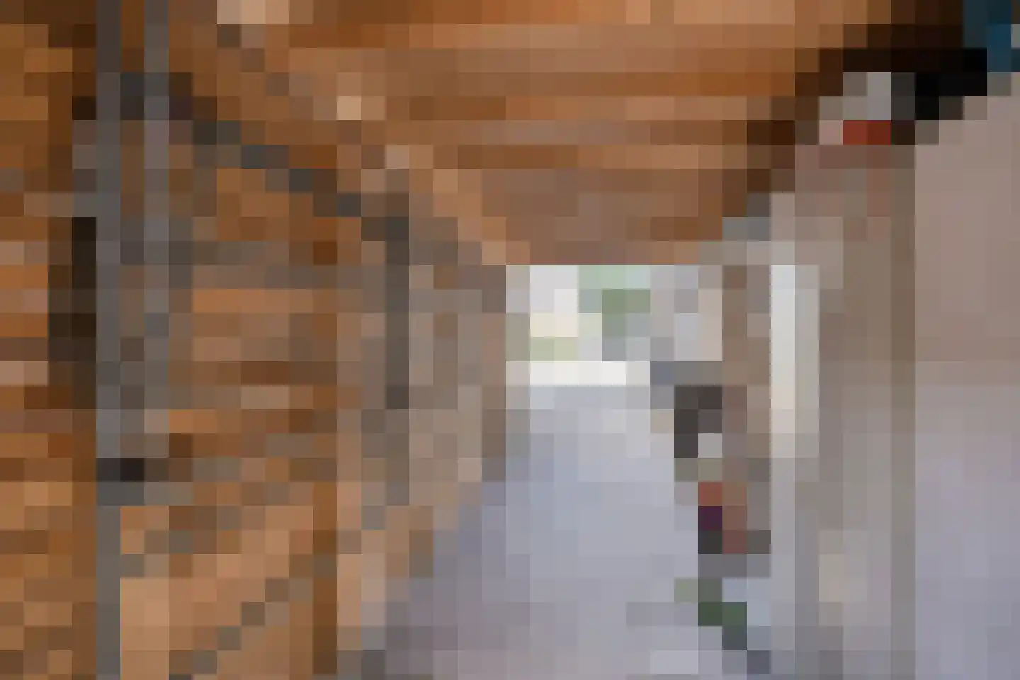 De Finne 5 Langezwaag thumbnail 6