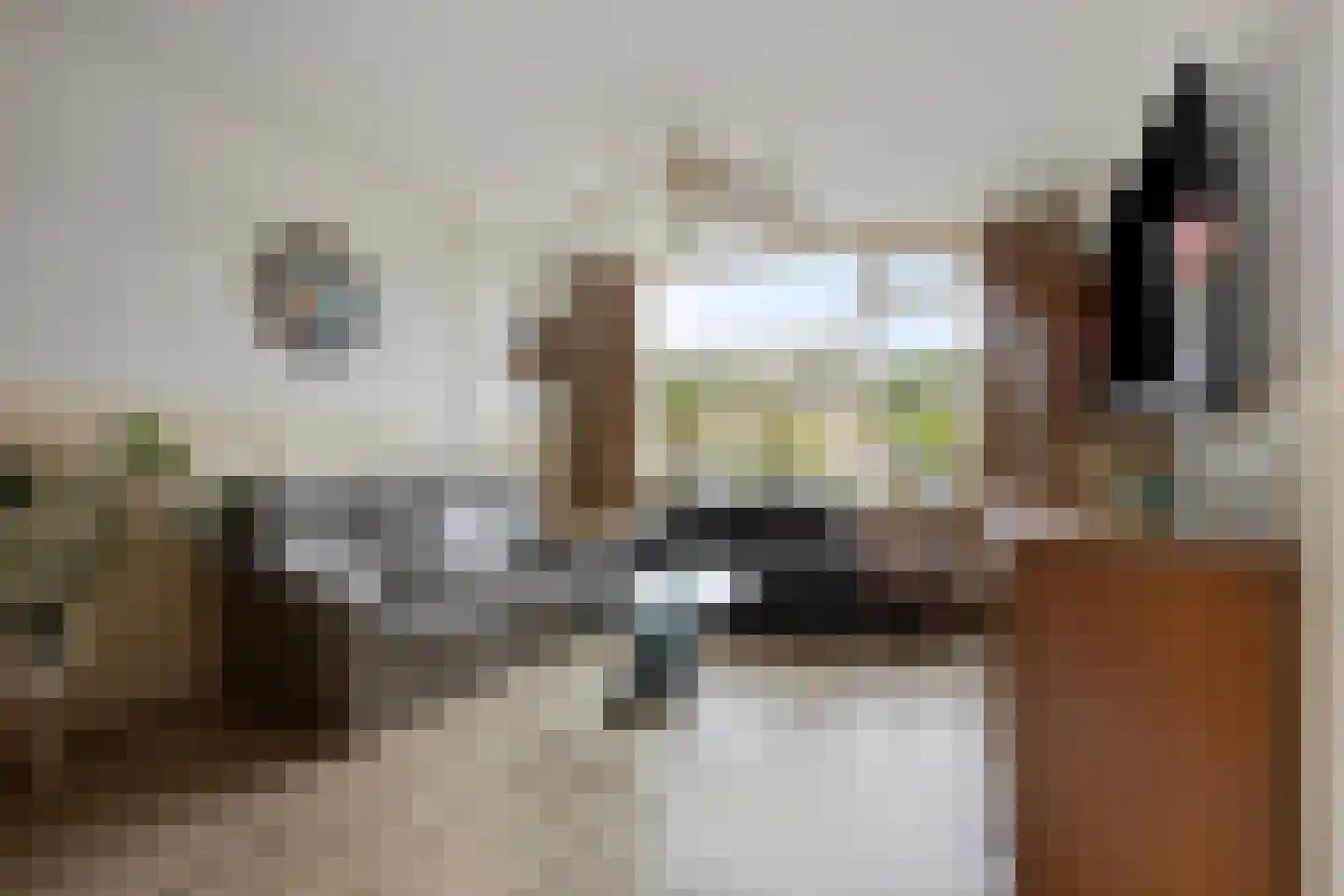 De Finne 5 Langezwaag thumbnail 8