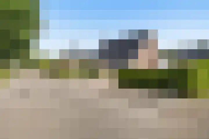 De Finne 7 Sumar thumbnail 13