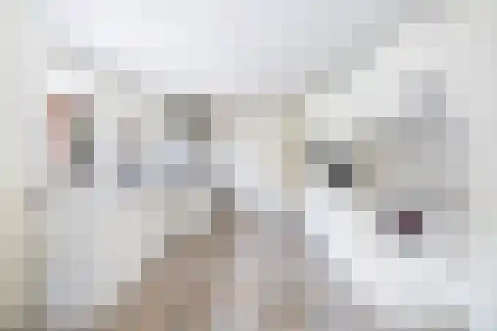 De Finne 7 Sumar thumbnail 23