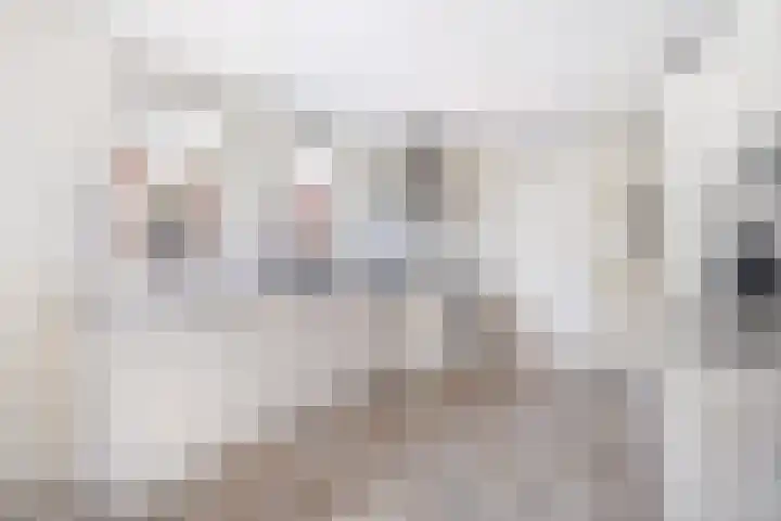 De Finne 7 Sumar thumbnail 24