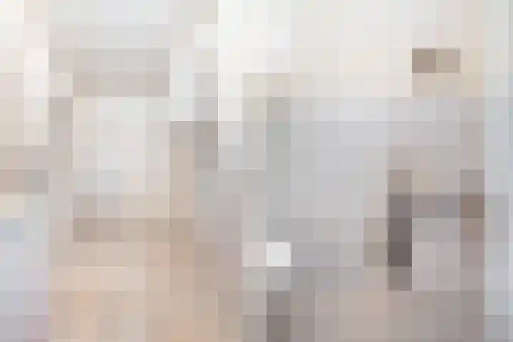 De Finne 7 Sumar thumbnail 28