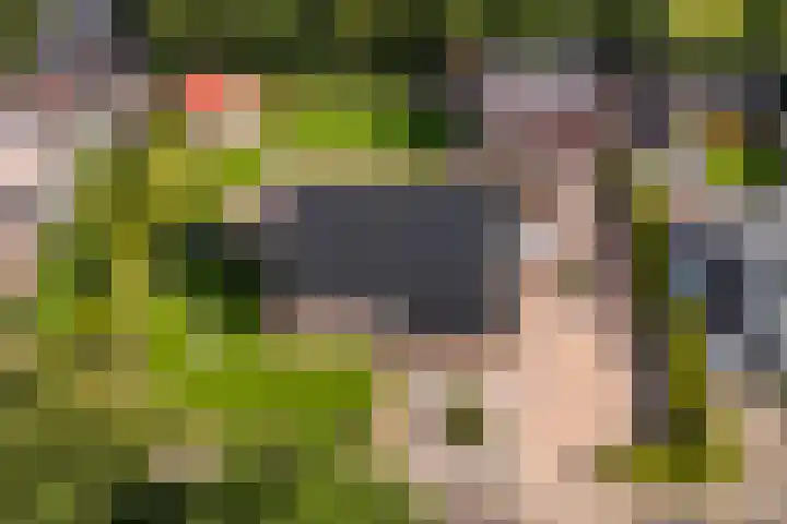 De Finne 7 Sumar foto 3