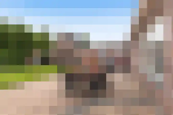 De Finne 7 Sumar thumbnail 32