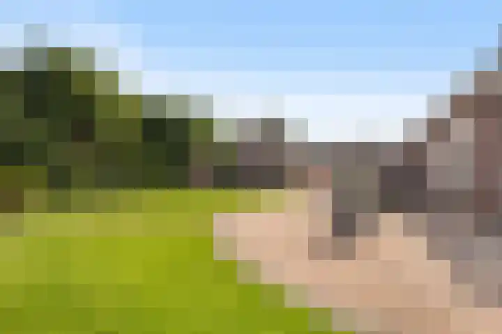 De Finne 7 Sumar thumbnail 33