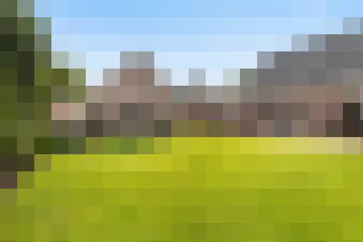 De Finne 7 Sumar thumbnail 34