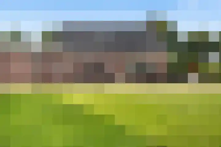 De Finne 7 Sumar thumbnail 35