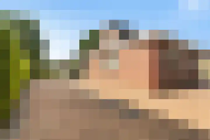 De Finne 7 Sumar thumbnail 36