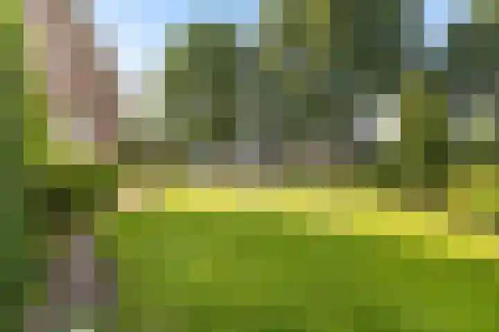 De Finne 7 Sumar thumbnail 38