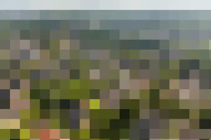 De Finne 7 Sumar thumbnail 56