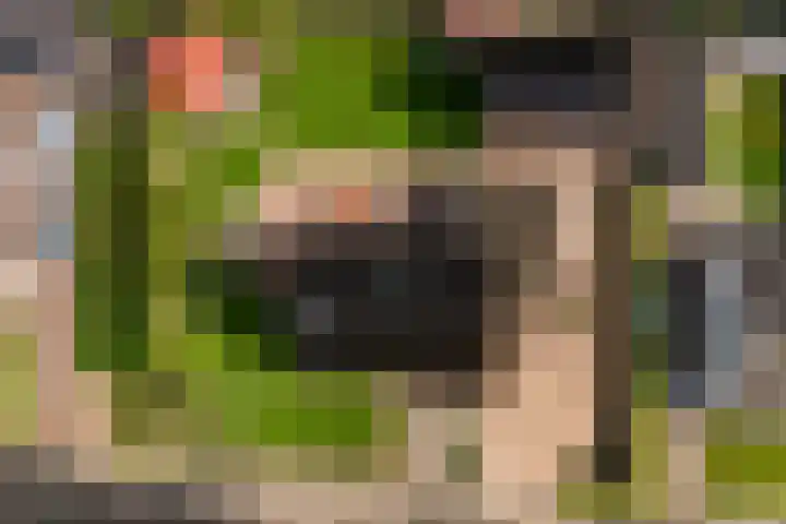 De Finne 7 Sumar thumbnail 6