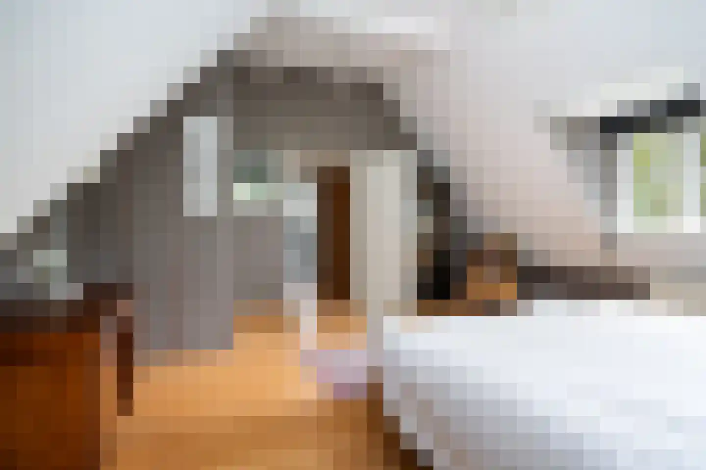 De Finne 7 Ysbrechtum thumbnail 43
