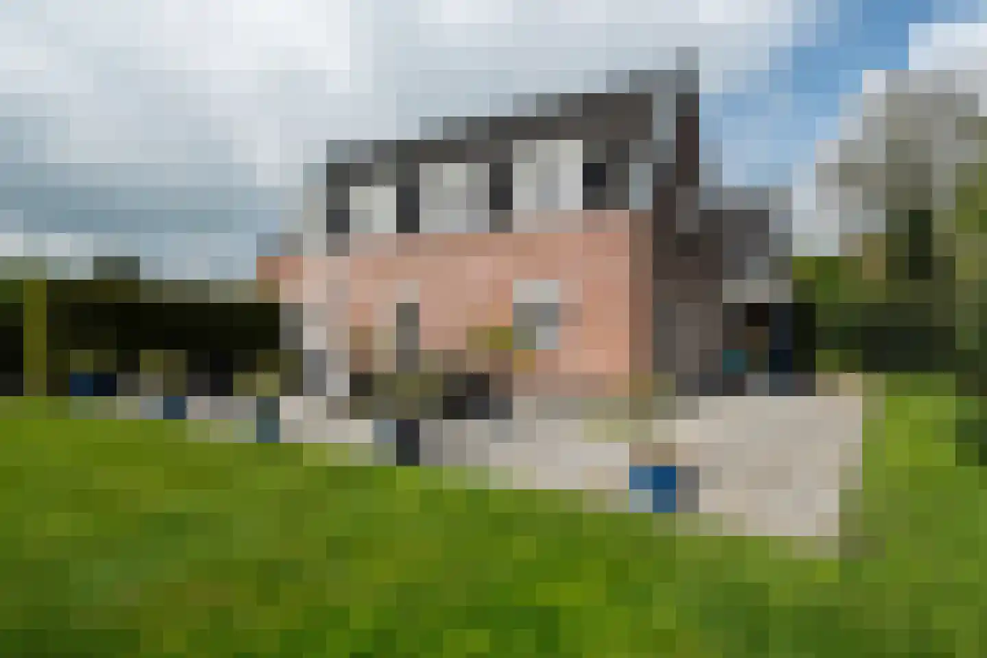 De Finne 7 Ysbrechtum thumbnail 5